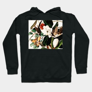 Bird of America  Bird, bird lover, america, beautiful  Public domain painting by John James Audubon Hoodie